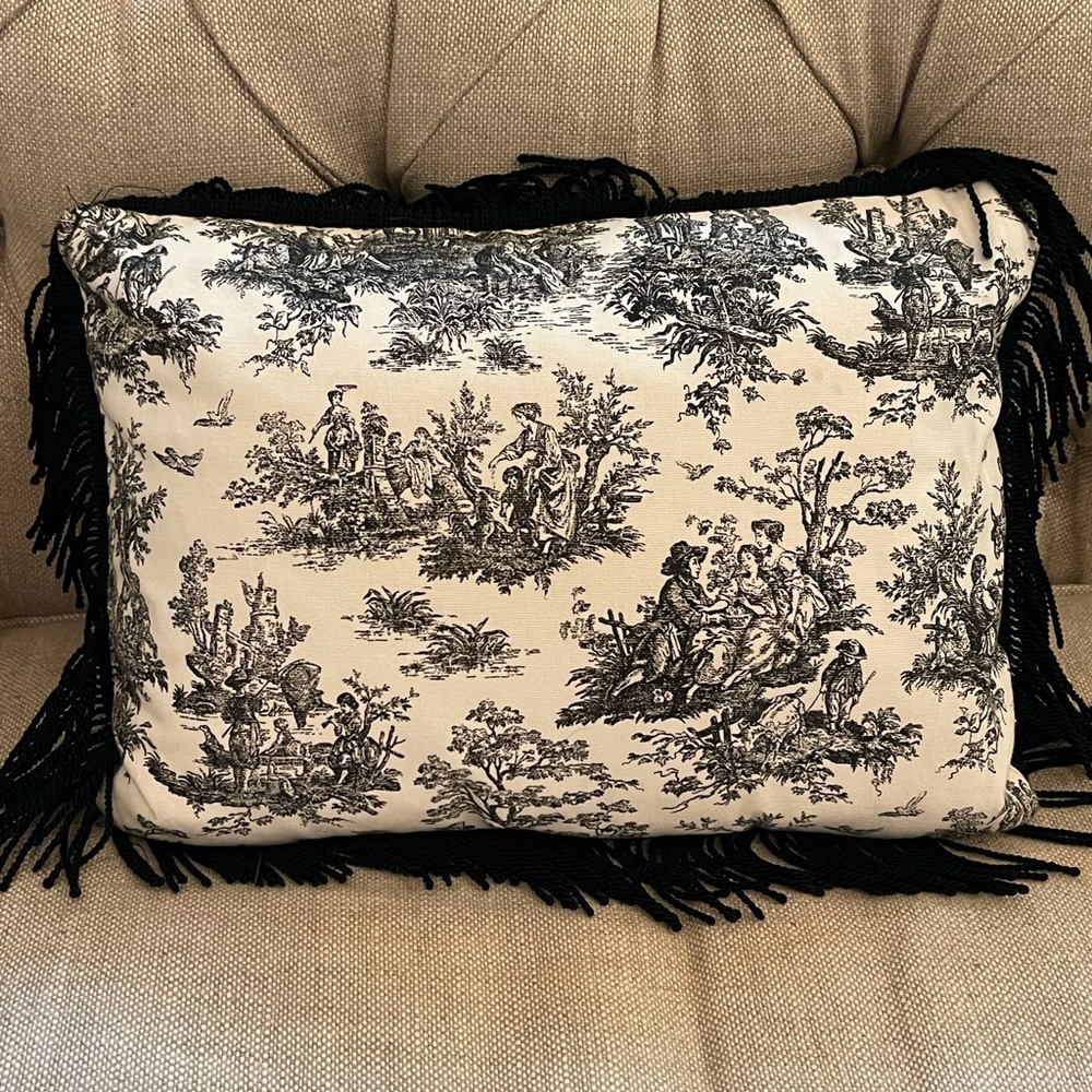 Beautiful toiles pillows